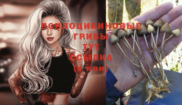 прущий лед Баксан