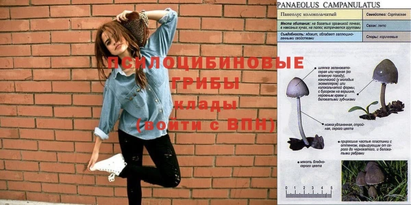 амф Балахна