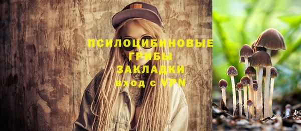 COCAINE Белокуриха