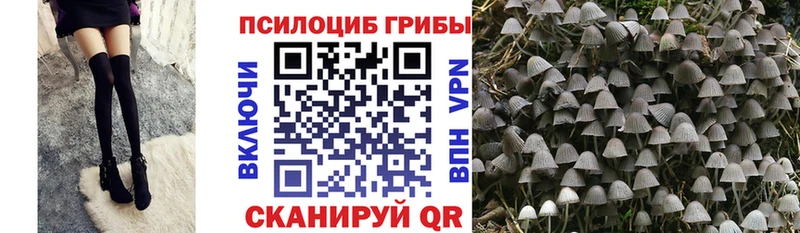 закладки  Короча  Псилоцибиновые грибы мухоморы 